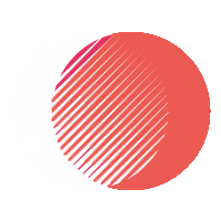 LogitMind Consulting
